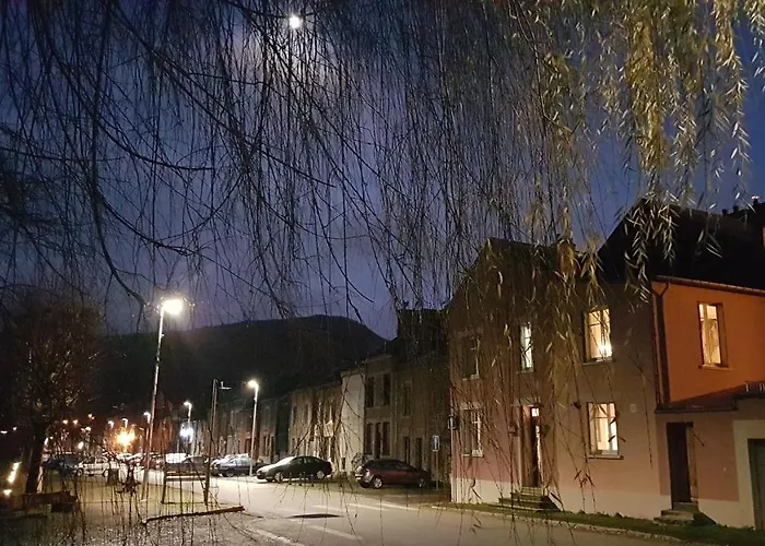 Hébergement de vacances Les Quais De Meuse Revin (Ardennes)